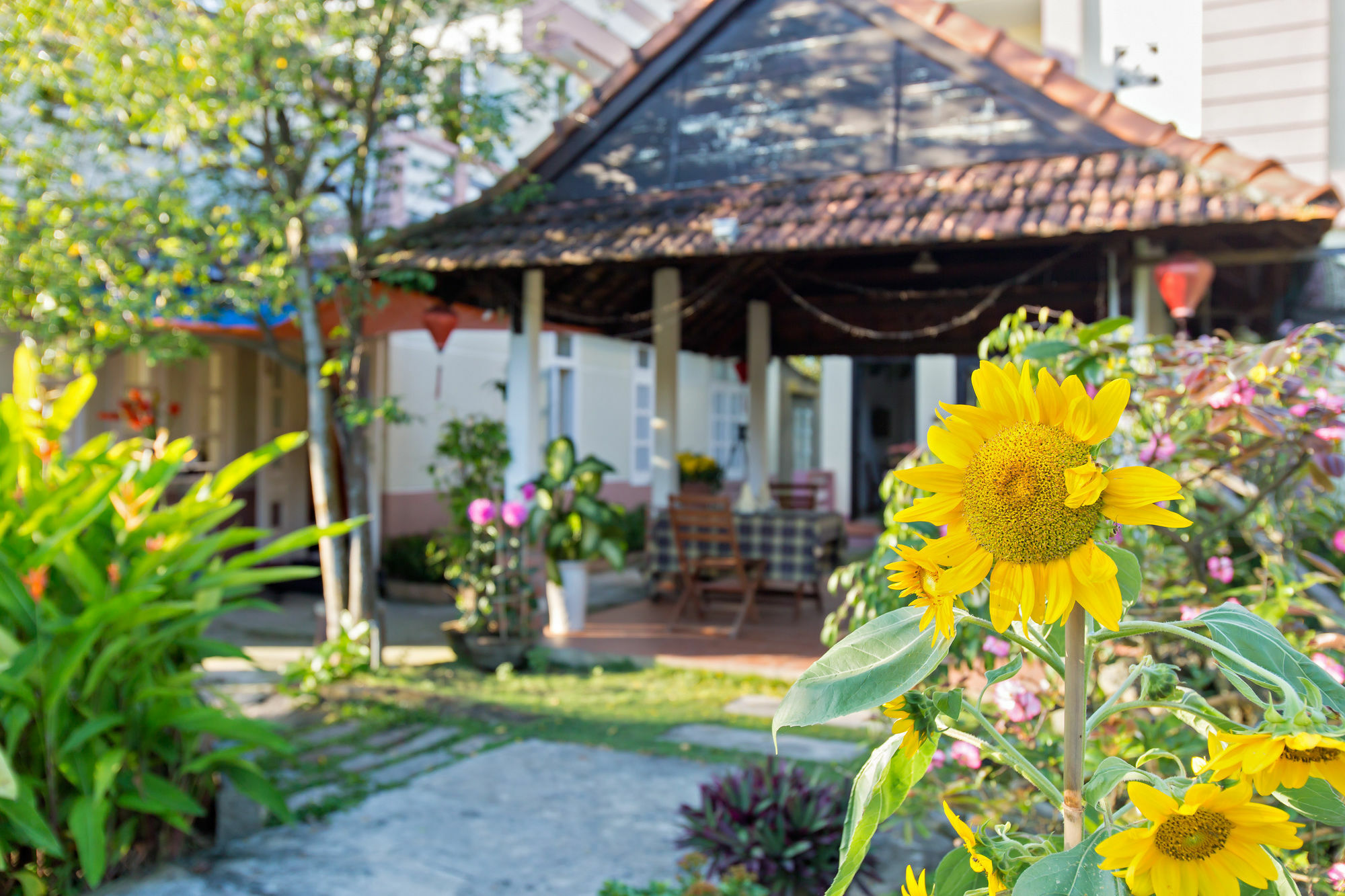 Do River Homestay Hội An Kültér fotó
