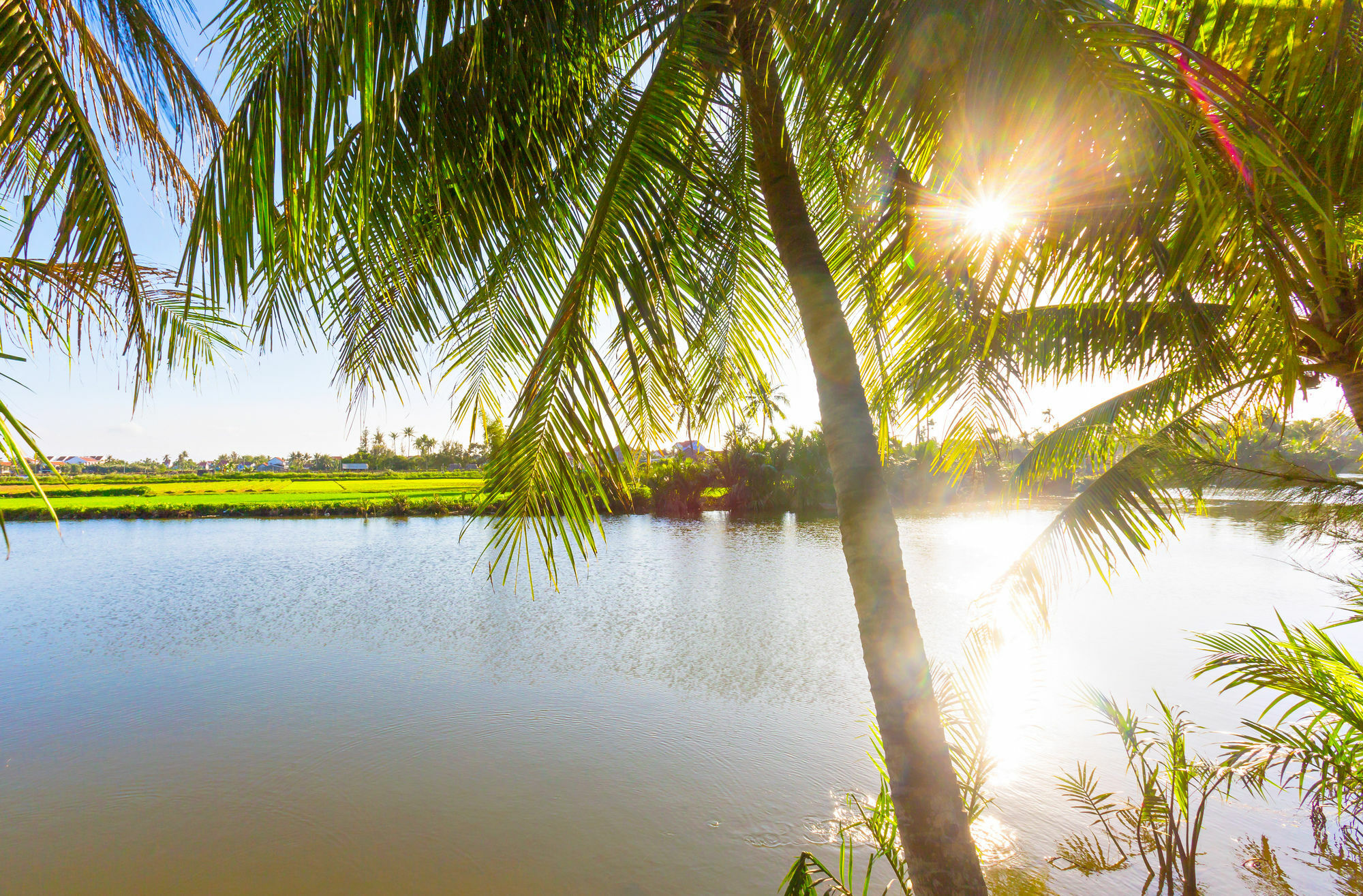 Do River Homestay Hội An Kültér fotó